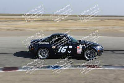 media/Nov-04-2023-CalClub SCCA (Sat) [[cb7353a443]]/Group 2/Cotton Corners (Race)/